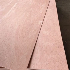 Bintangor šperploča za vrata